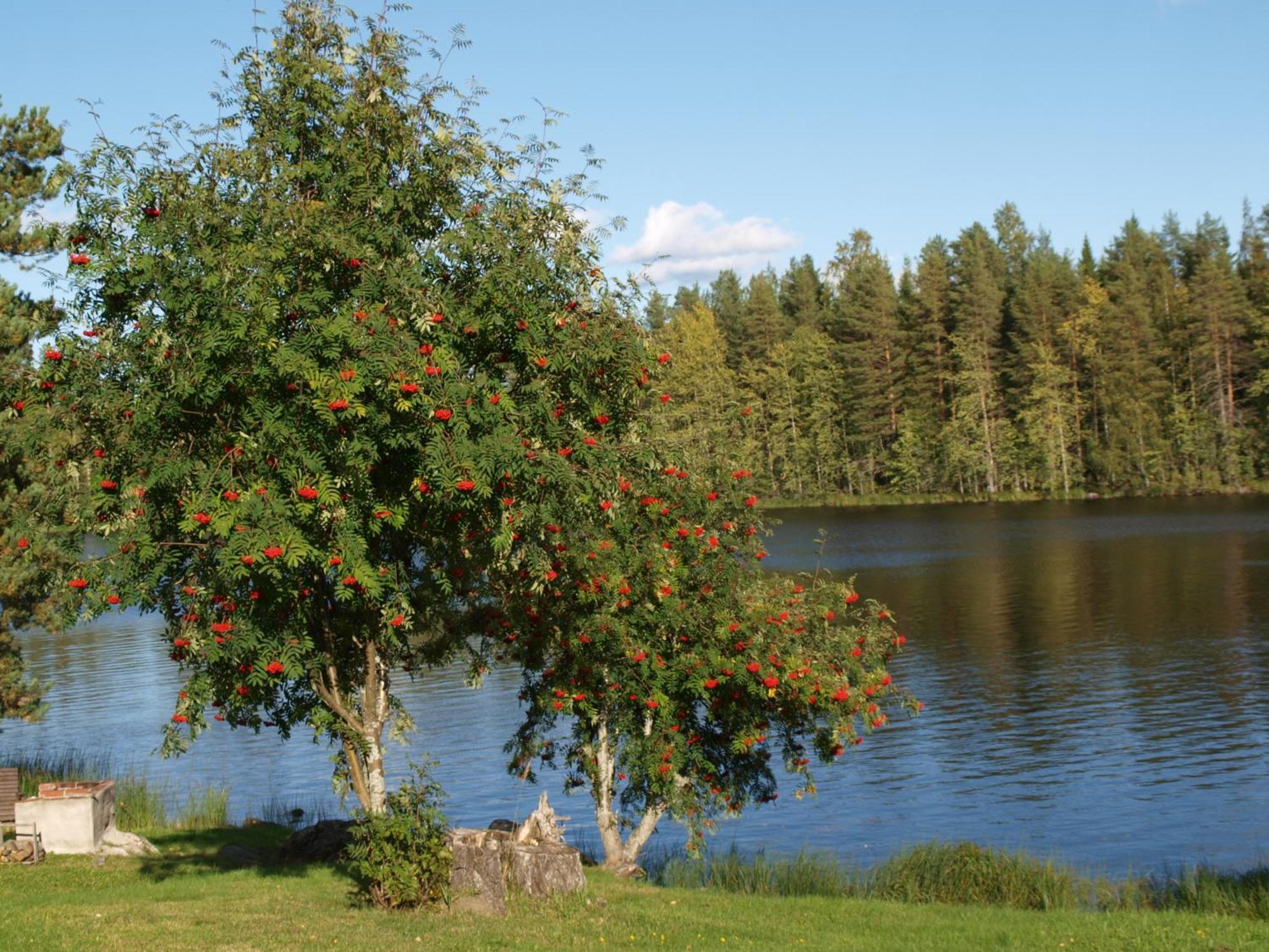 Loma-Rantala Cottages Тахковуори Экстерьер фото